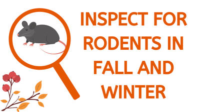 Inspect for rodents in fall and winter.